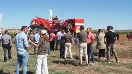 cosecha-campo-ensayo-70