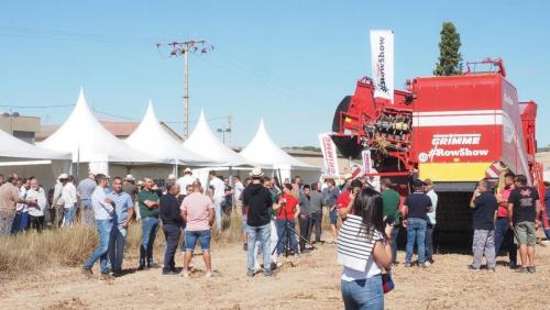 cosecha-campo-ensayo-71