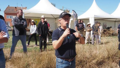 cosecha-campo-ensayo-74