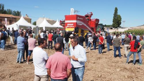 cosecha-campo-ensayo-76