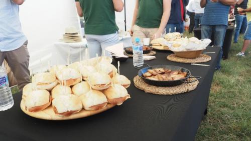 cosecha-campo-ensayo-77