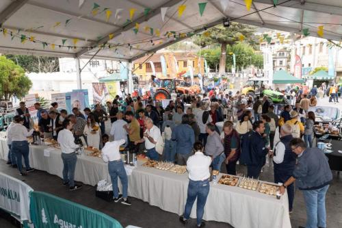 galeria-papa-gran-canaria-15