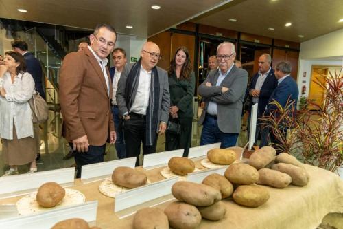 galeria-papa-gran-canaria-27