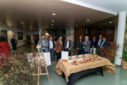 galeria-papa-gran-canaria-28