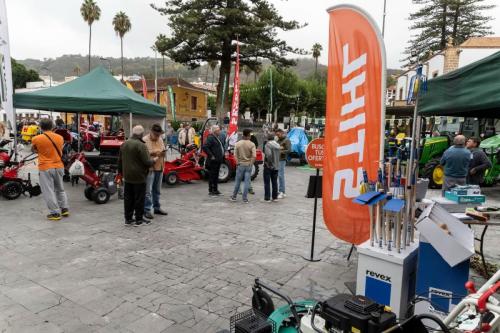 galeria-papa-gran-canaria-3