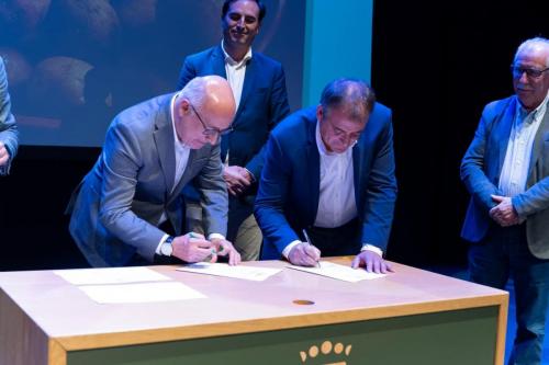 galeria-papa-gran-canaria-30